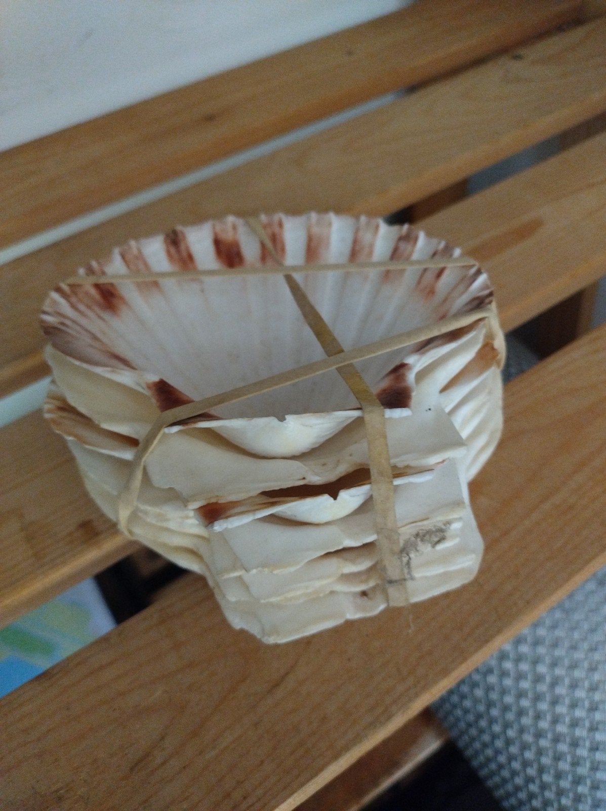 8 x Natuurlijke Schelpen voor Diner Decoratie, Gebruikt, Beige, Mediterraans, Ophalen of Verzenden