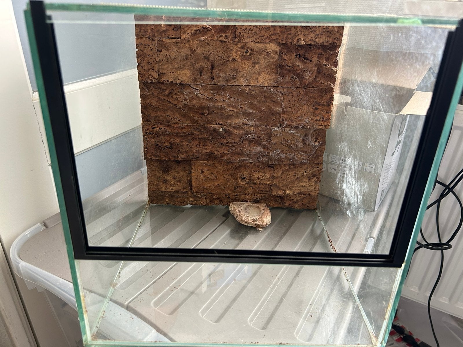 Terrarium 30x30 met achterwand, Dieren en Toebehoren, Ophalen, Gebruikt, Terrarium of Paludarium