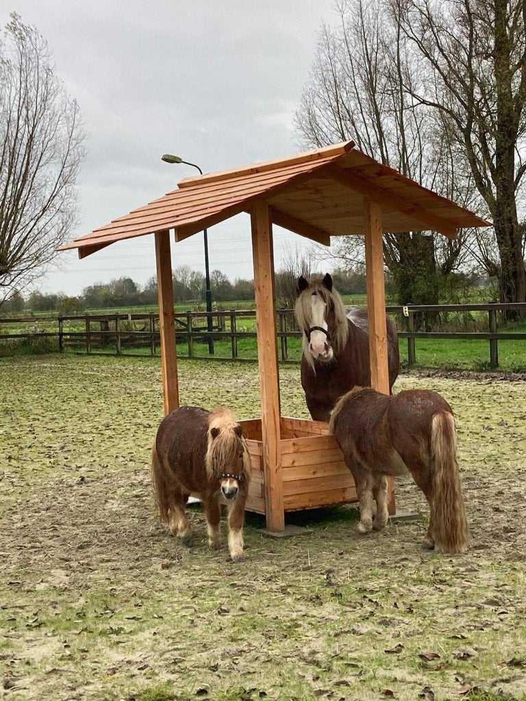 hooiruif met vaste bak  paard en pony schotse hooglander), Dieren en Toebehoren, Ophalen, Nieuw