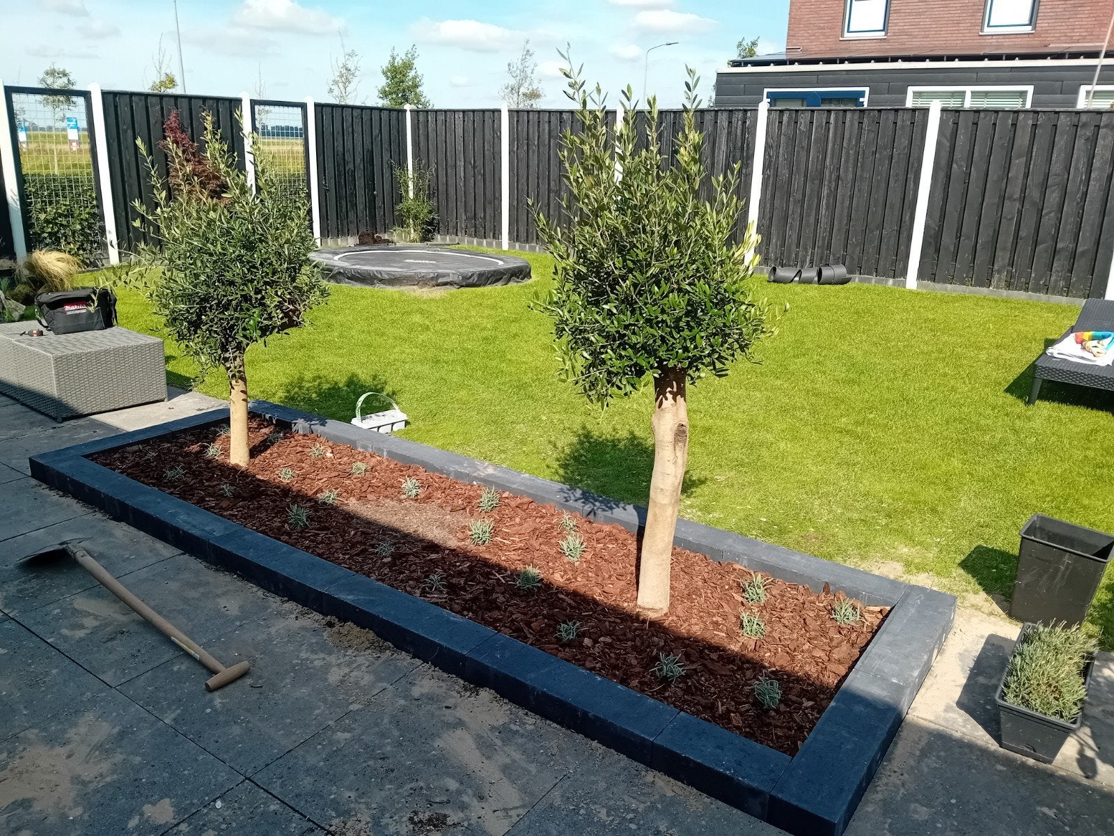 Tuinman/Hovenier, Ophalen of Verzenden, Overige soorten, Halfschaduw