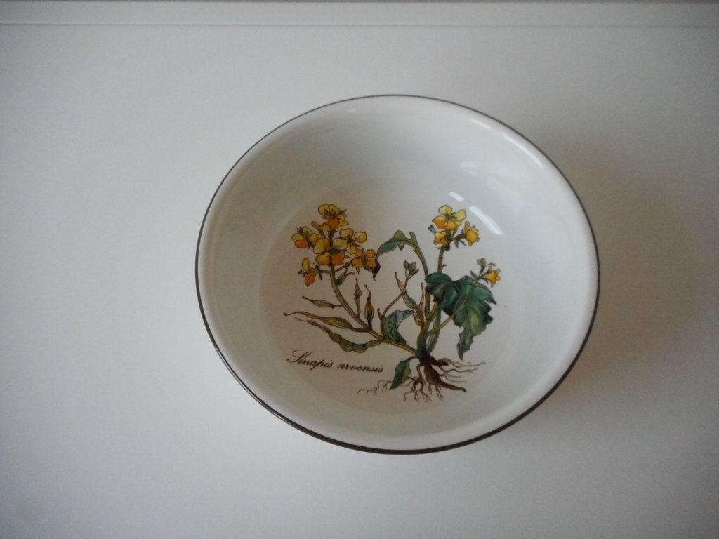 Schaal, schaaltje van Villeroy & Boch Botanica, Villeroy & Boch, Ophalen of Verzenden, Overige stijlen, Porselein
