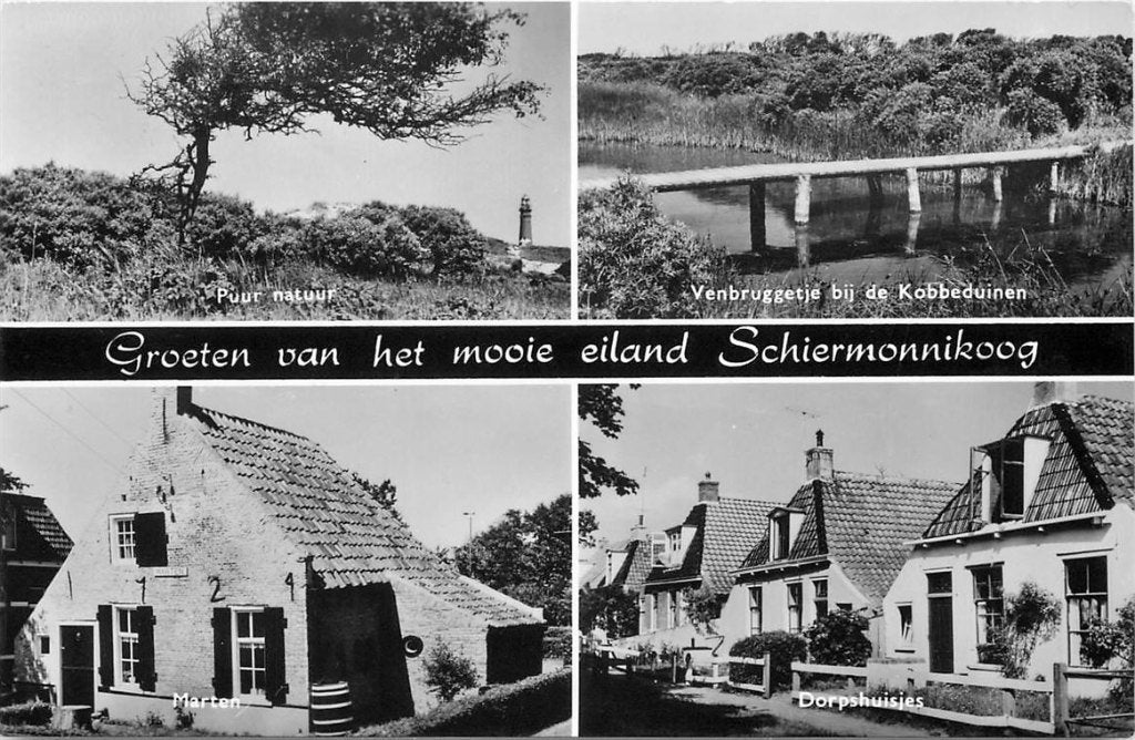 379-196-047 Schiermonnikoog, Ophalen of Verzenden, Voor 1920, Friesland