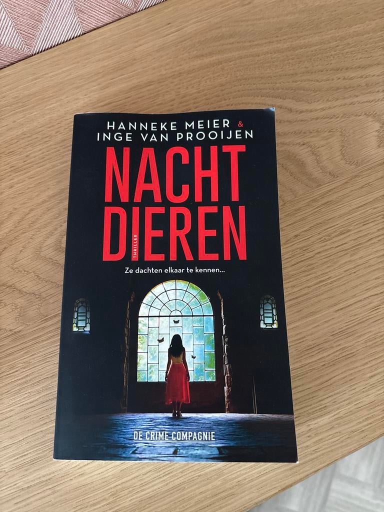 Nachtdieren - Hanneke Meier & Inge van Prooijen (Thriller), Ophalen of Verzenden, Zo goed als nieuw, Nederland