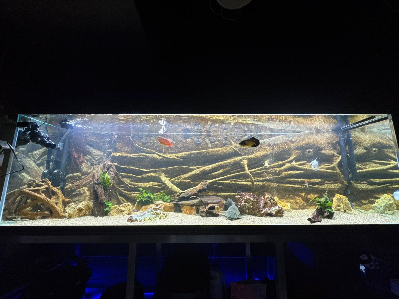 Aquarium, Ophalen, Zo goed als nieuw, Leeg aquarium
