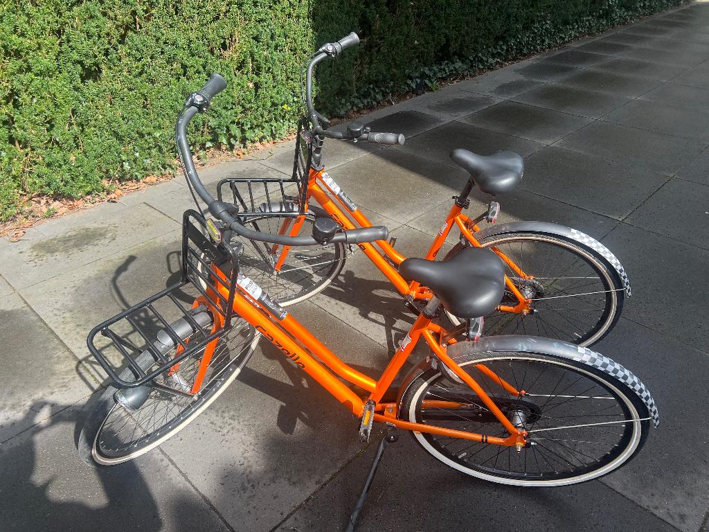 Gazelle formule 1 Zandvoort 2021 fietsen, Ophalen, 53 tot 56 cm, Versnellingen, Zo goed als nieuw