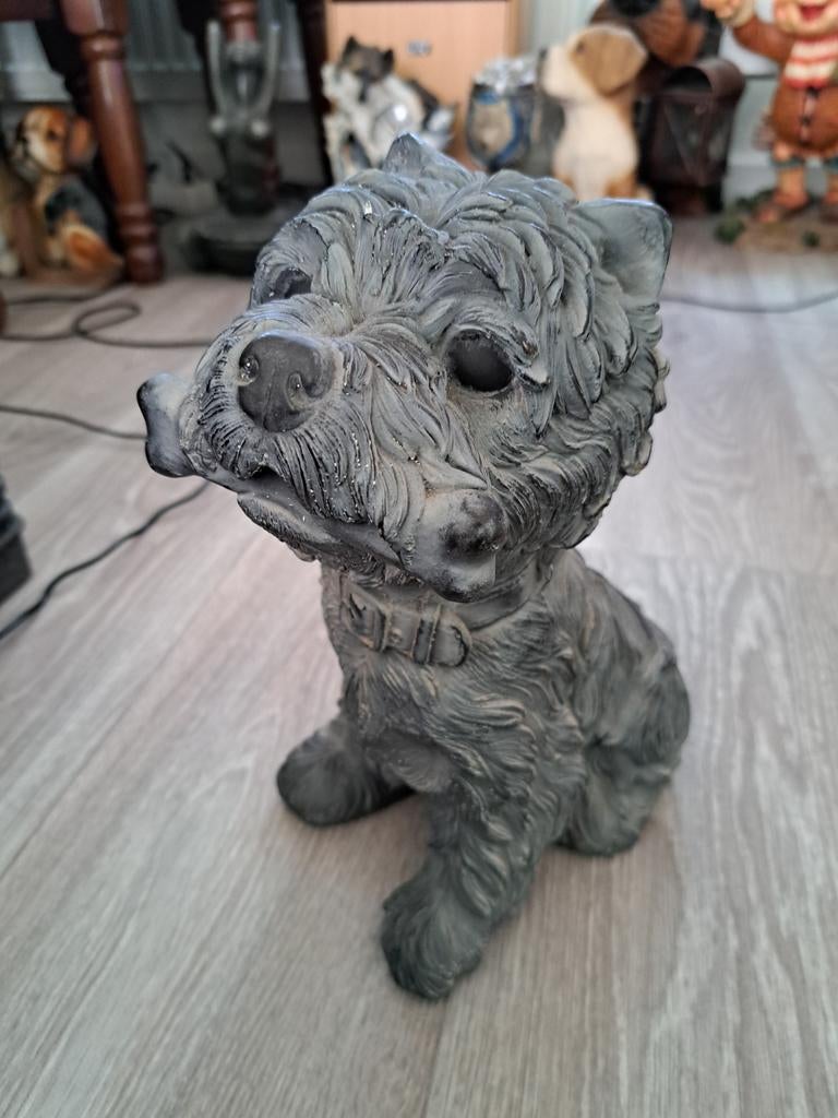 Stenen Hond met Bot - Vorstbestendig Beeld (20-25 cm), Ophalen, Nieuw, Overige materialen, Dierenbeeld