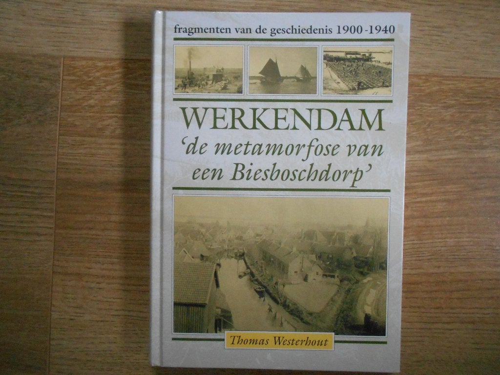 Thomas Westerhout Werkendam `de metamorfose van een, Boeken, Geschiedenis | Stad en Regio, Ophalen of Verzenden, Zo goed als nieuw
