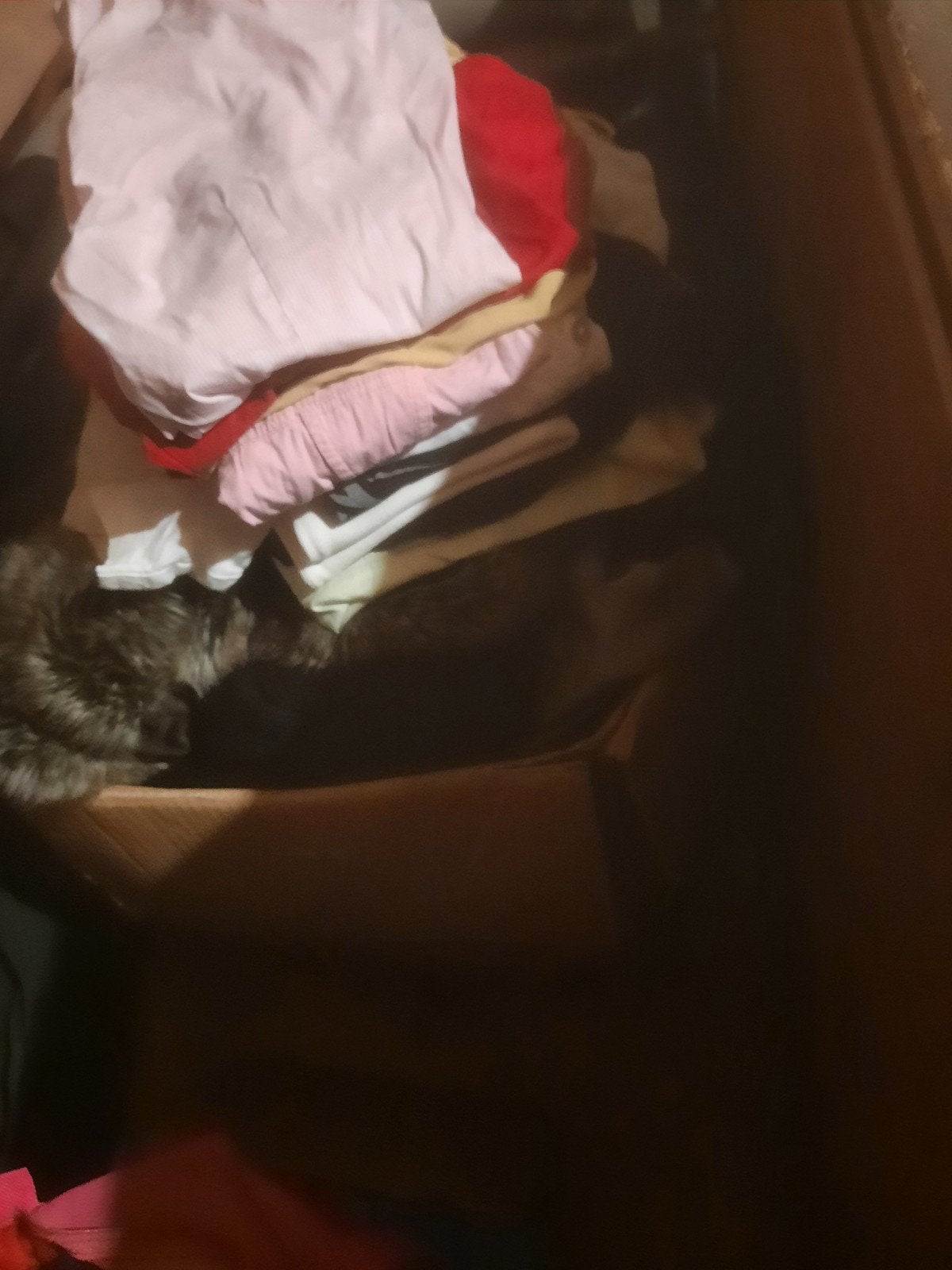dames kleding pakket, Ophalen of Verzenden, Zo goed als nieuw, Maat 38/40 (M)