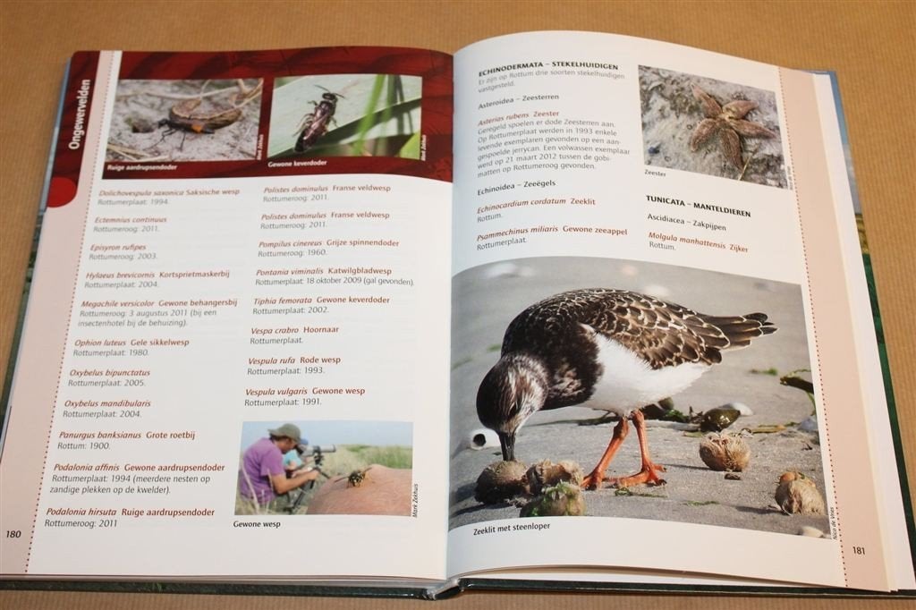 Fauna van Rottum — Dierenleven op de Waddeneilanden, Ophalen of Verzenden, Zo goed als nieuw, Overige diersoorten