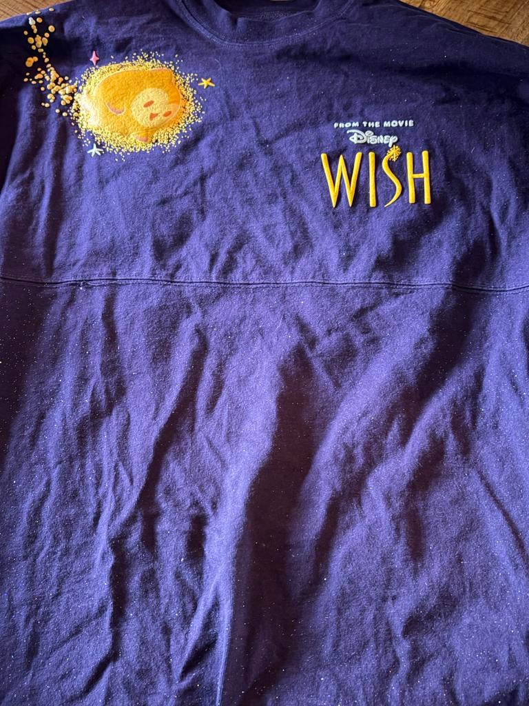 Disney Wish Longsleeve - Disneyland Parijs - Maat S (valt al, Paars, Maat 42/44 (L), Ophalen of Verzenden, Zo goed als nieuw
