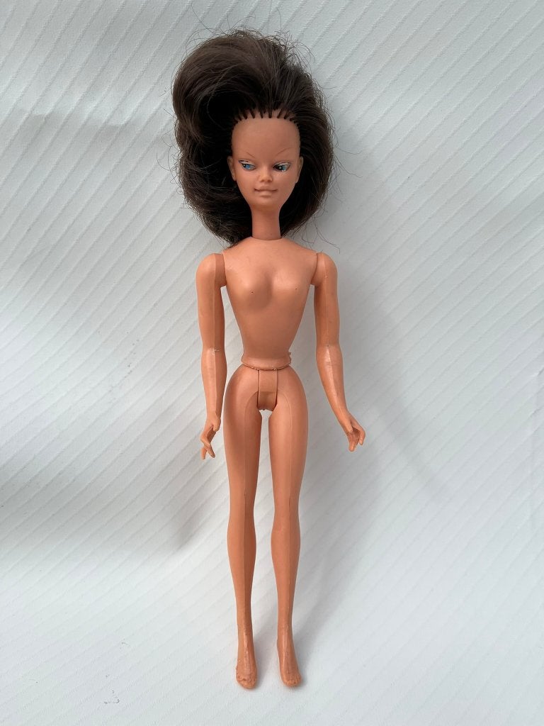 Willy Wildebras vintage Barbie tienerpop ‘t Poppenrijk, Ophalen of Verzenden, Gebruikt, Pop