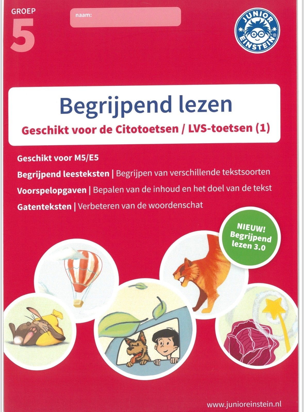 Digitaal Junior Einstein Begrijpend Lezen Groep 5 (3 boeken), Ophalen of Verzenden, Zo goed als nieuw, Overige niveaus, Nederlands