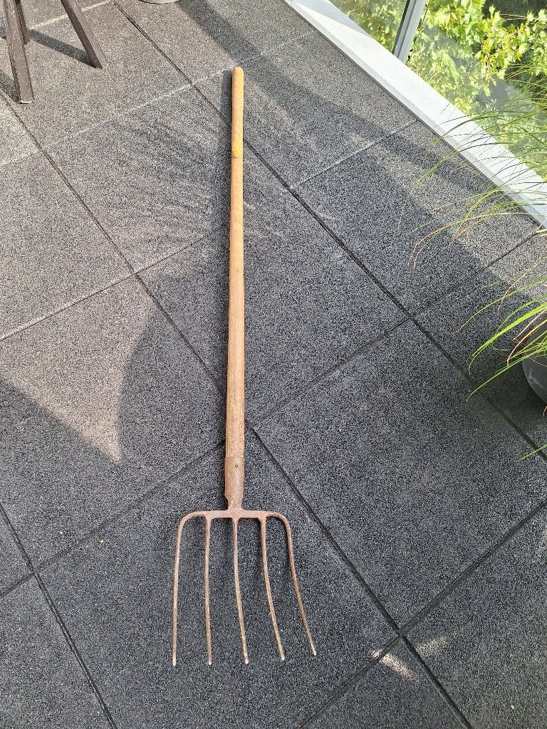 5 tands riek, Ophalen of Verzenden, Gebruikt, Vork