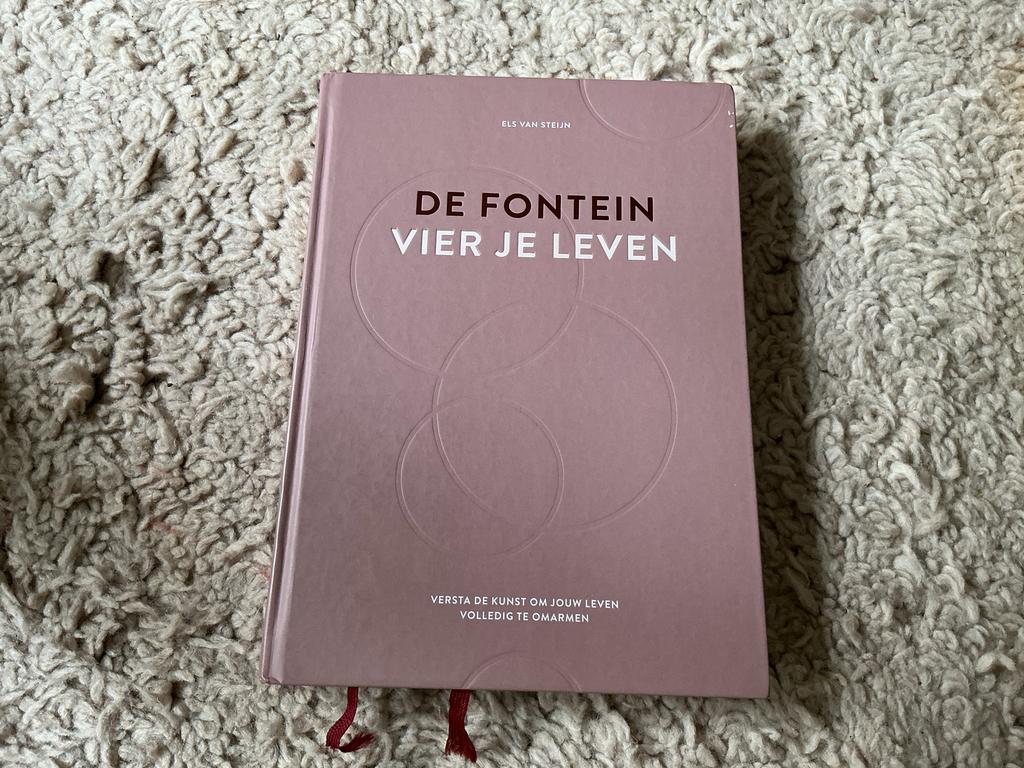De Fontein Vier Je Leven - Els van Steijn zgan opbr giro 555, Boeken, Ophalen of Verzenden, Zo goed als nieuw
