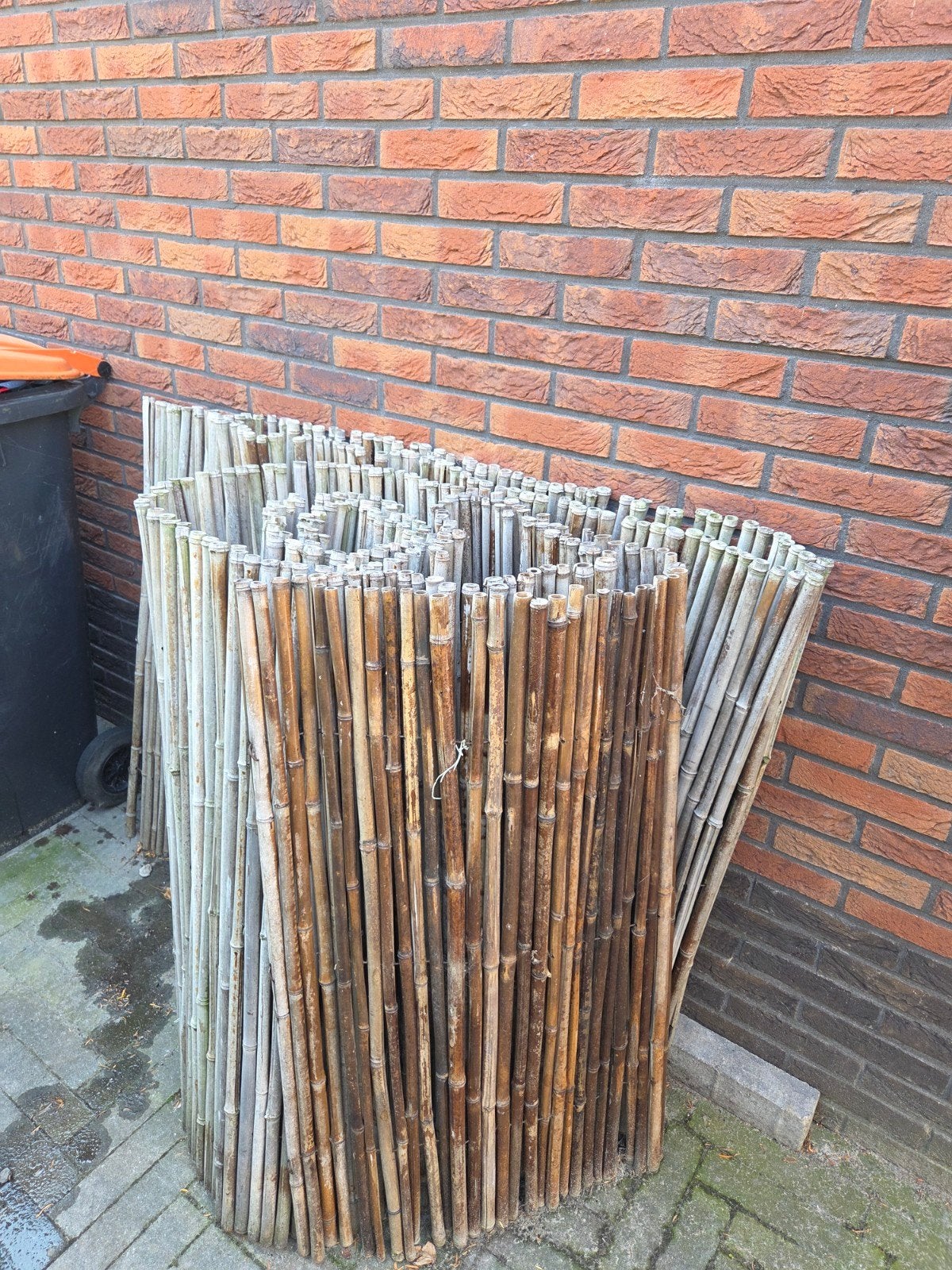 Bamboematten - 3 rollen voor tuinafscheiding of decoratie, Tuin en Terras, Ophalen, Overige materialen, 3 tot 6 meter, 1 tot 2 meter