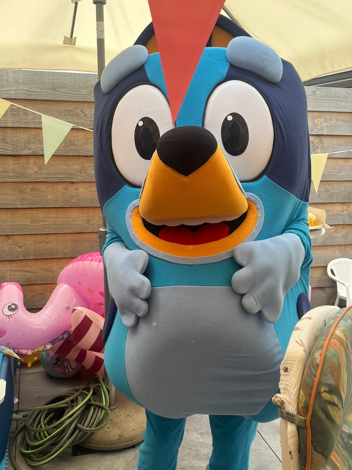 BLUEY MASCOTTE VERHUUR, Ophalen of Verzenden, Zo goed als nieuw, Overige