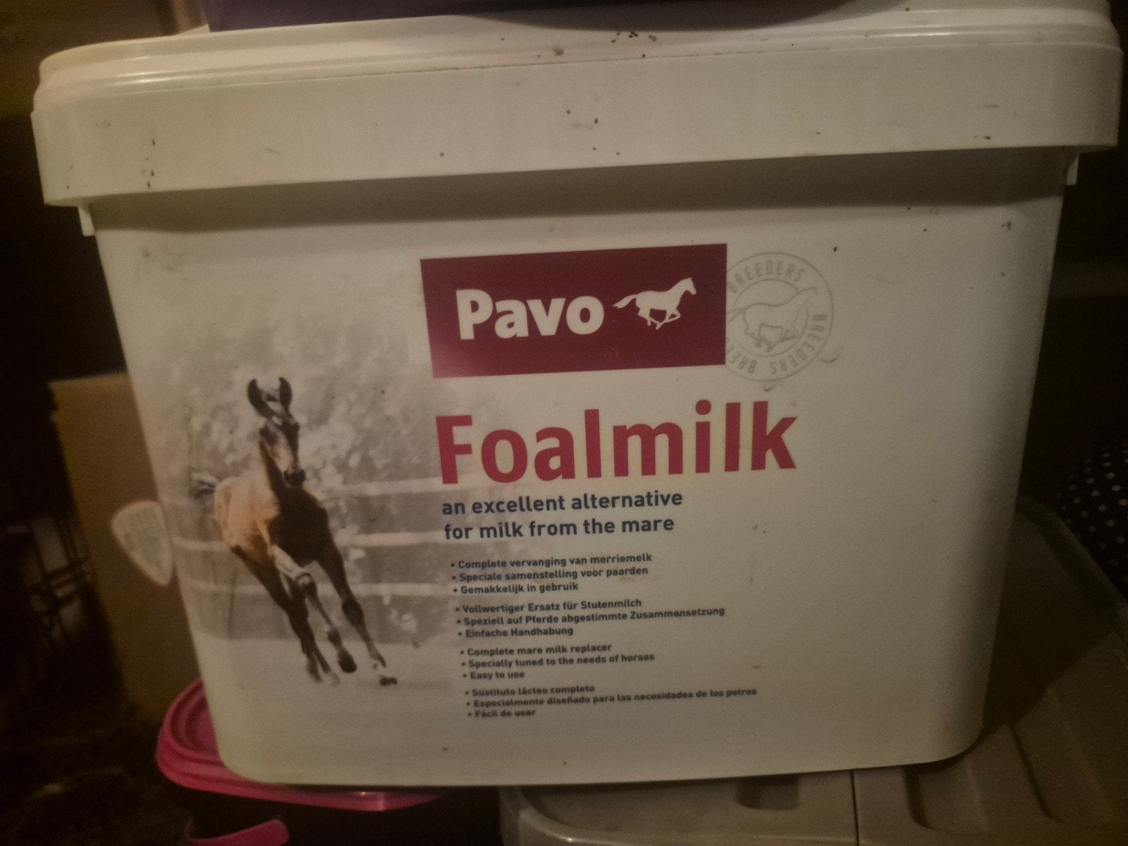 pavo veulen melk, Dieren en Toebehoren, Ophalen of Verzenden, Vee