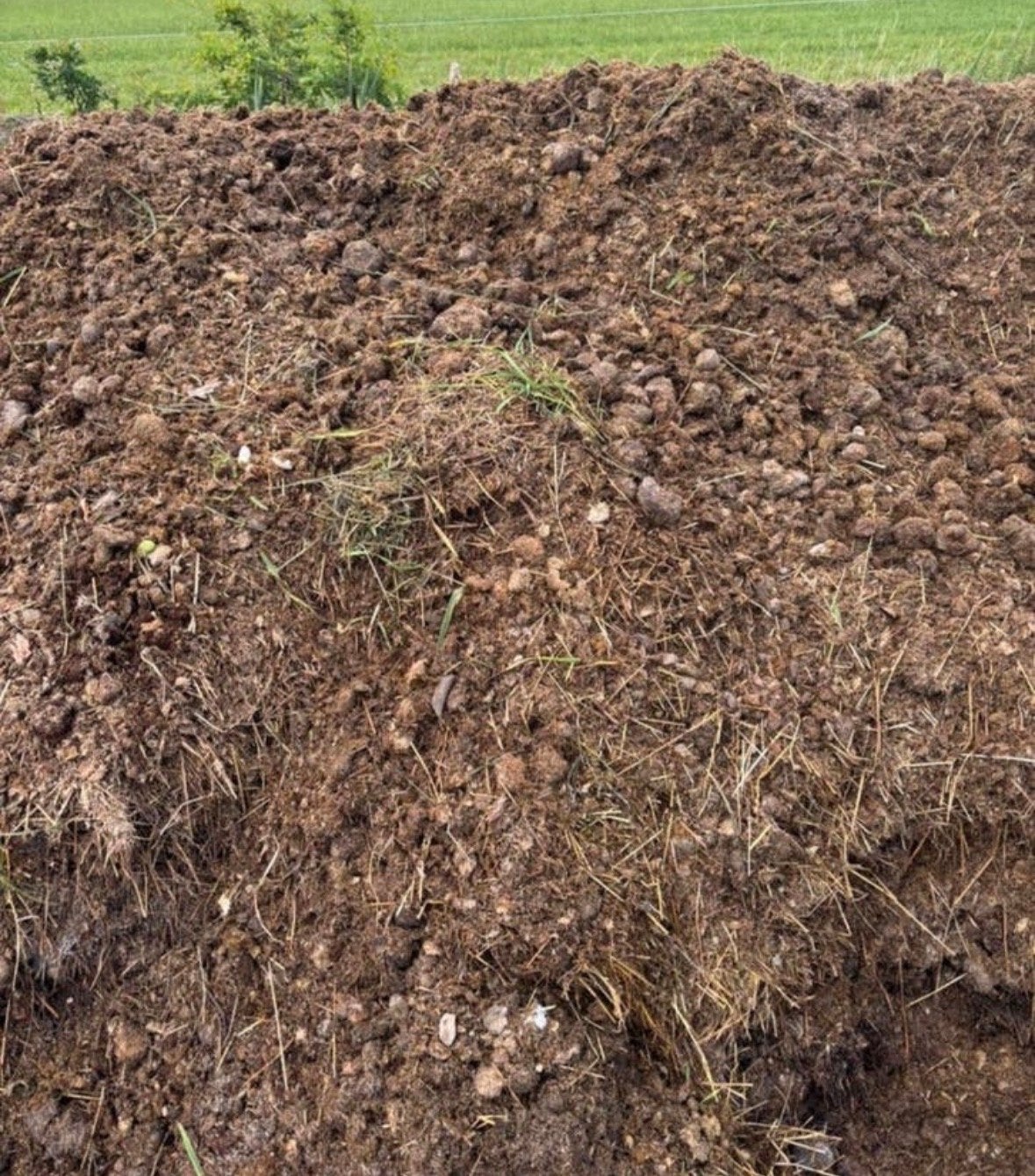 Paardenmest voor moestuin of compost, meerdere keren p/j, Ophalen, Mest