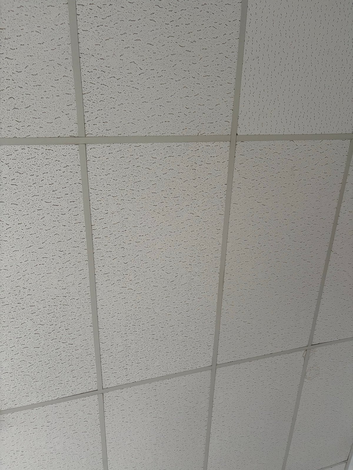 Compleet systeemplafond 38m2 zelf te demonteren, Doe-het-zelf en Verbouw, Ophalen of Verzenden, Gebruikt, Overige materialen