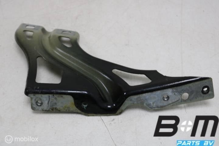 Spatschermsteun links Audi Q3 8U 8U0821135