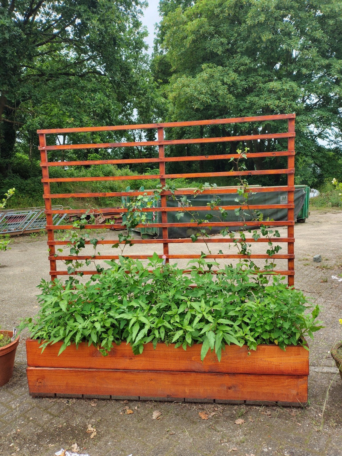 Houten plantenbak met klimrek, Tuin en Terras, Ophalen, Gebruikt, 100 cm of meer, 60 cm of meer