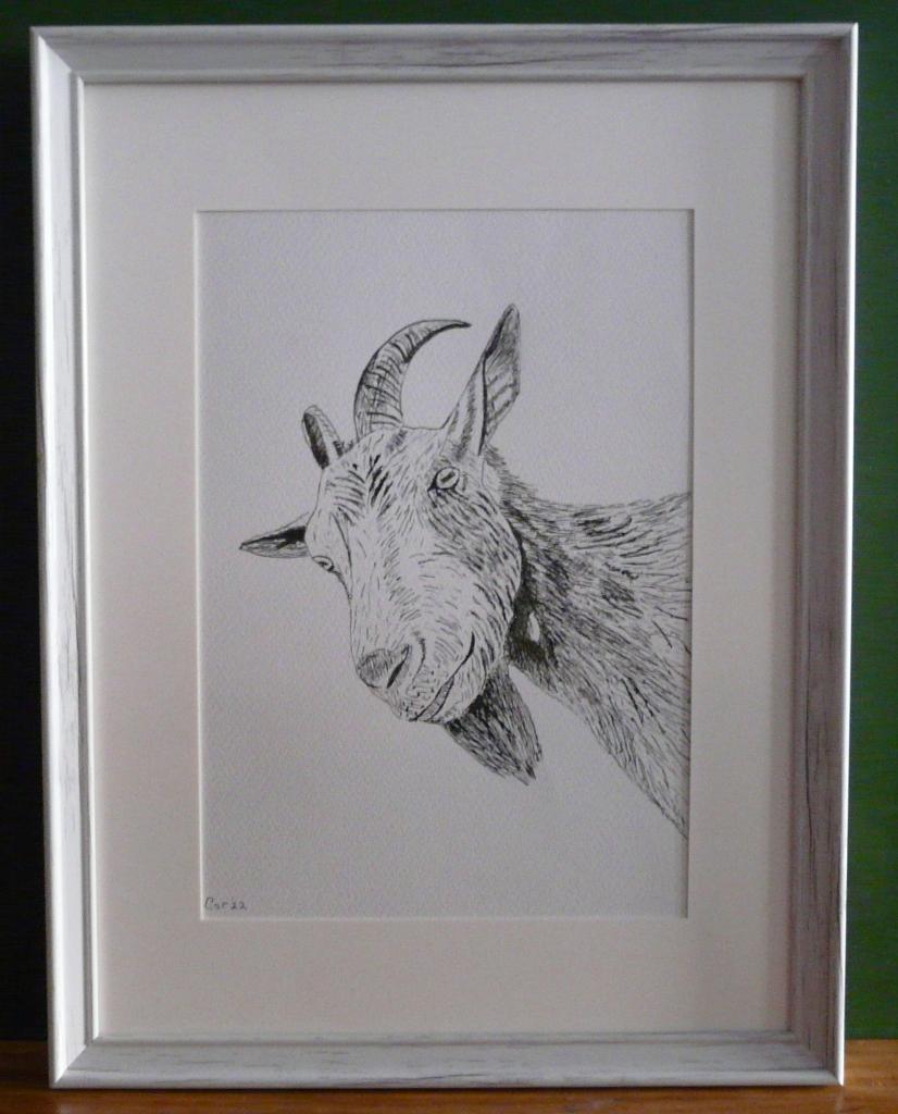 Portret geit, Antiek en Kunst, Ophalen of Verzenden