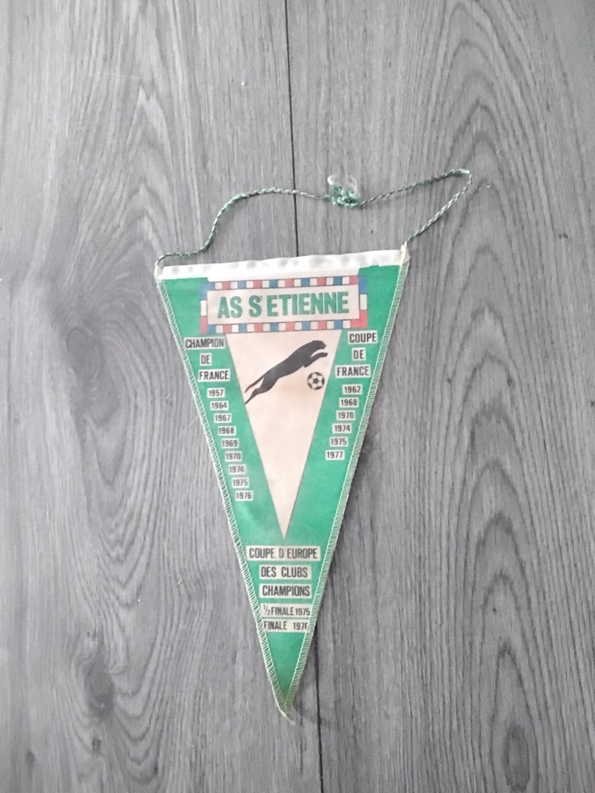 Saint etienne voetbalvaantje, Ophalen of Verzenden, Zo goed als nieuw, Buitenlandse clubs, Poster, Plaatje of Sticker