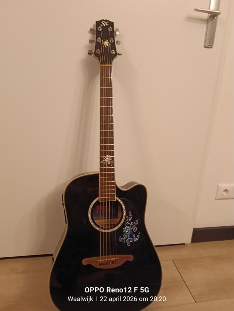 Semi akoestisch gitaar, Muziek en Instrumenten, Behuizingen en Koffers, Ophalen of Verzenden