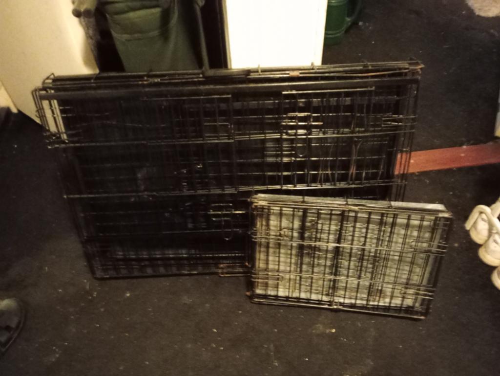 Alle maten. Bezen en transport hokken, Dieren en Toebehoren, Hondenhokken, Ophalen, 110 cm of meer, 100 cm of meer