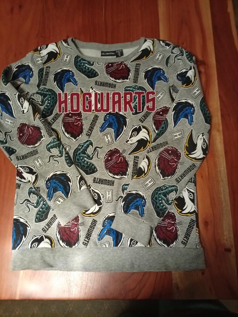 *** Harry Potter trui **** maat 158 ***, Kinderen en Baby's, Ophalen of Verzenden