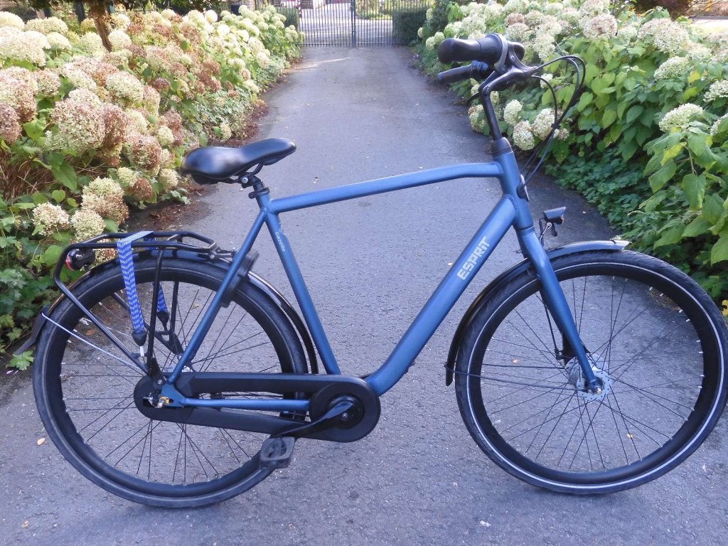 Mooie Gazelle Esprit met  7 versnellingen en 59 cm frame, Fietsen en Brommers, Gazelle, Versnellingen, Niet ingevuld, Zo goed als nieuw