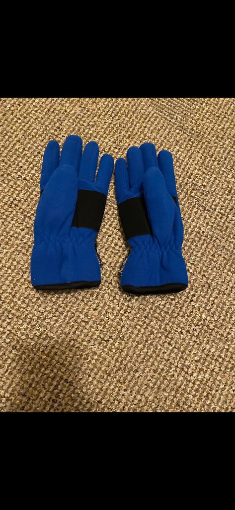Thinsulate handschoenen blauw maat L: Nieuw, Ophalen of Verzenden, Nieuw, Maat 52/54 (L), Handschoenen