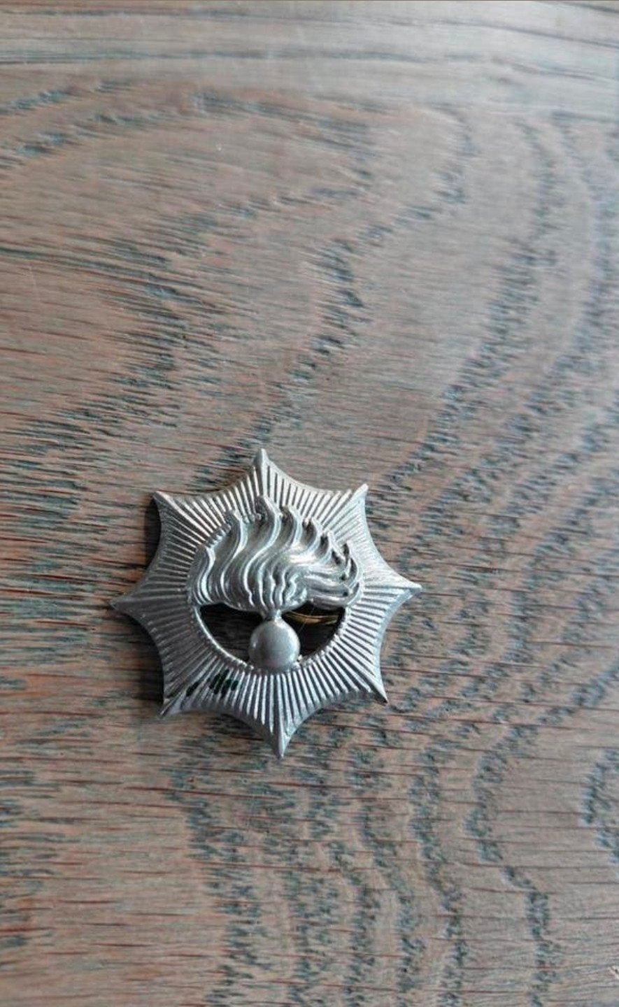 Korps rijkspolitie badge pin., Ophalen of Verzenden, Overige soorten, Nederland, Embleem of Badge