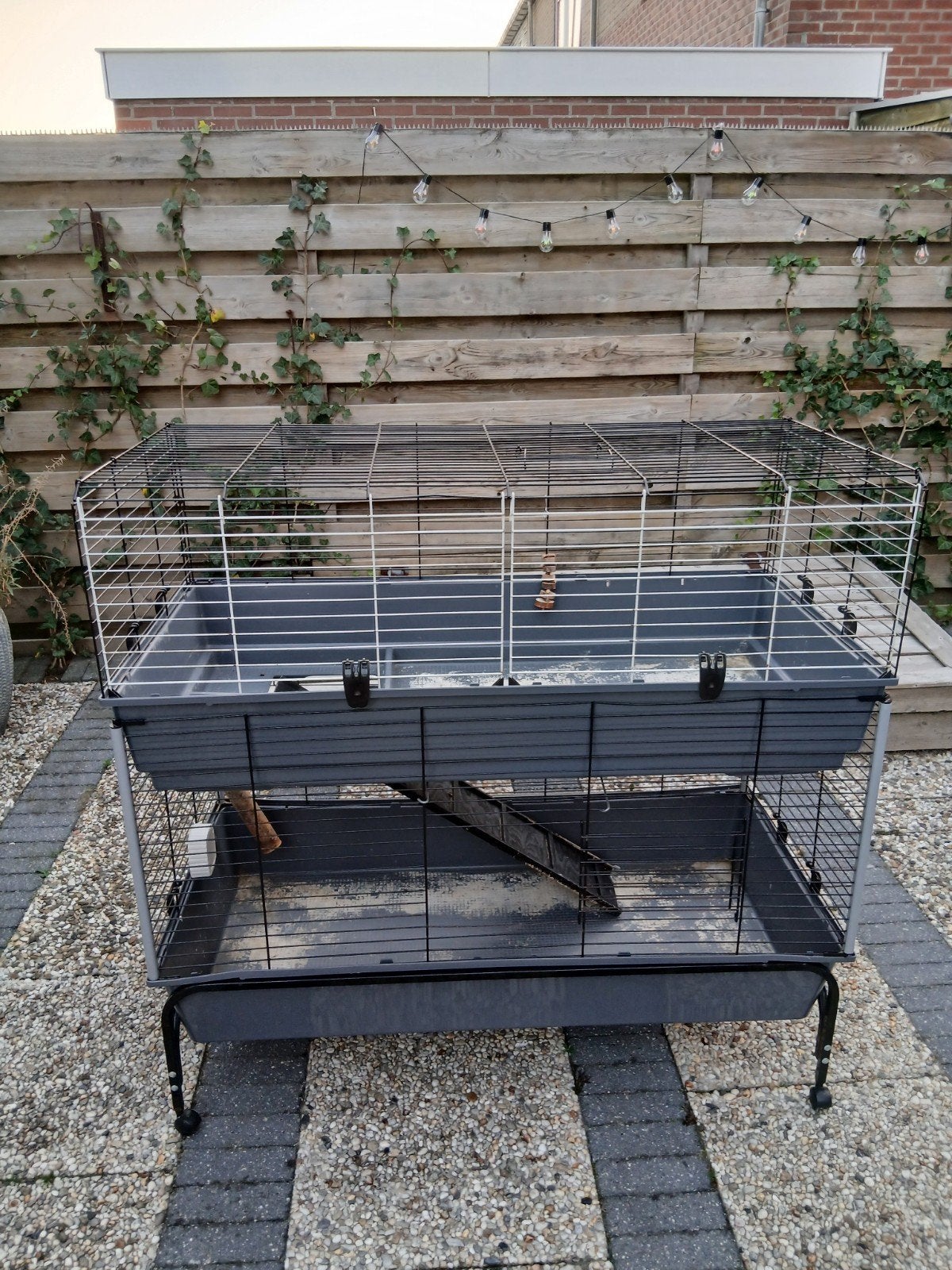 Cavia kooi flat, Ophalen, Kooi, 90 cm of meer, Cavia
