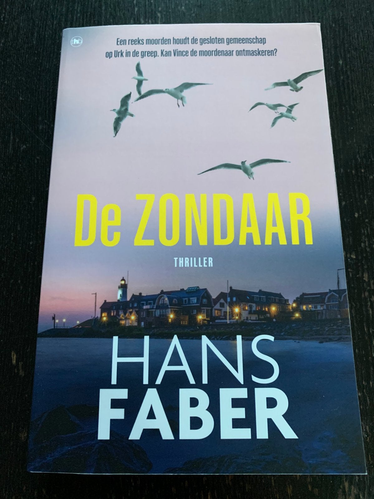 Hans Faber - De zondaar, Boeken, Ophalen of Verzenden, Zo goed als nieuw, Hans Faber
