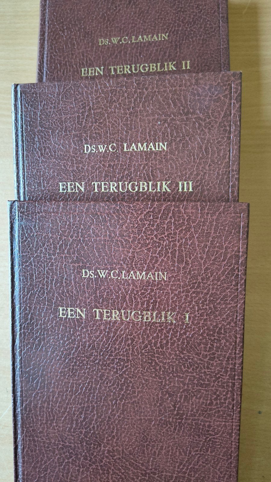 Een terugblik. Ds WC Lamain. Deel 1-2en 3, Boeken, Christendom | Protestants, Ophalen of Verzenden, Zo goed als nieuw, Ds WC Lamain