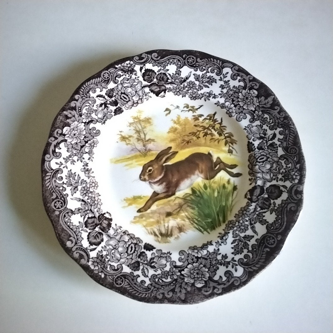 Palissy Haas taart/gebakbordje en waterkan (Royal Worcester), Ophalen of Verzenden