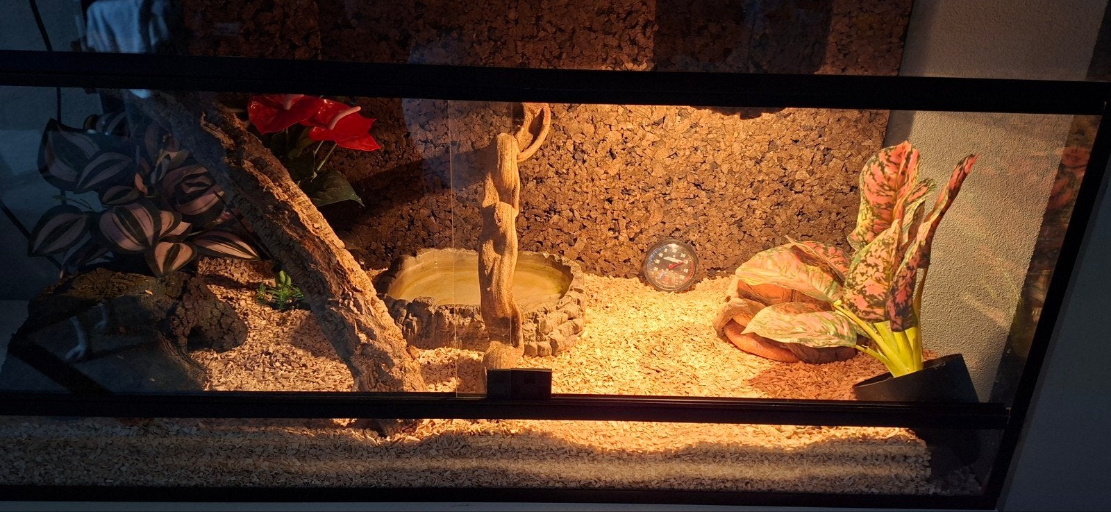 Terrarium en slang, Ophalen, Zo goed als nieuw, Overige typen