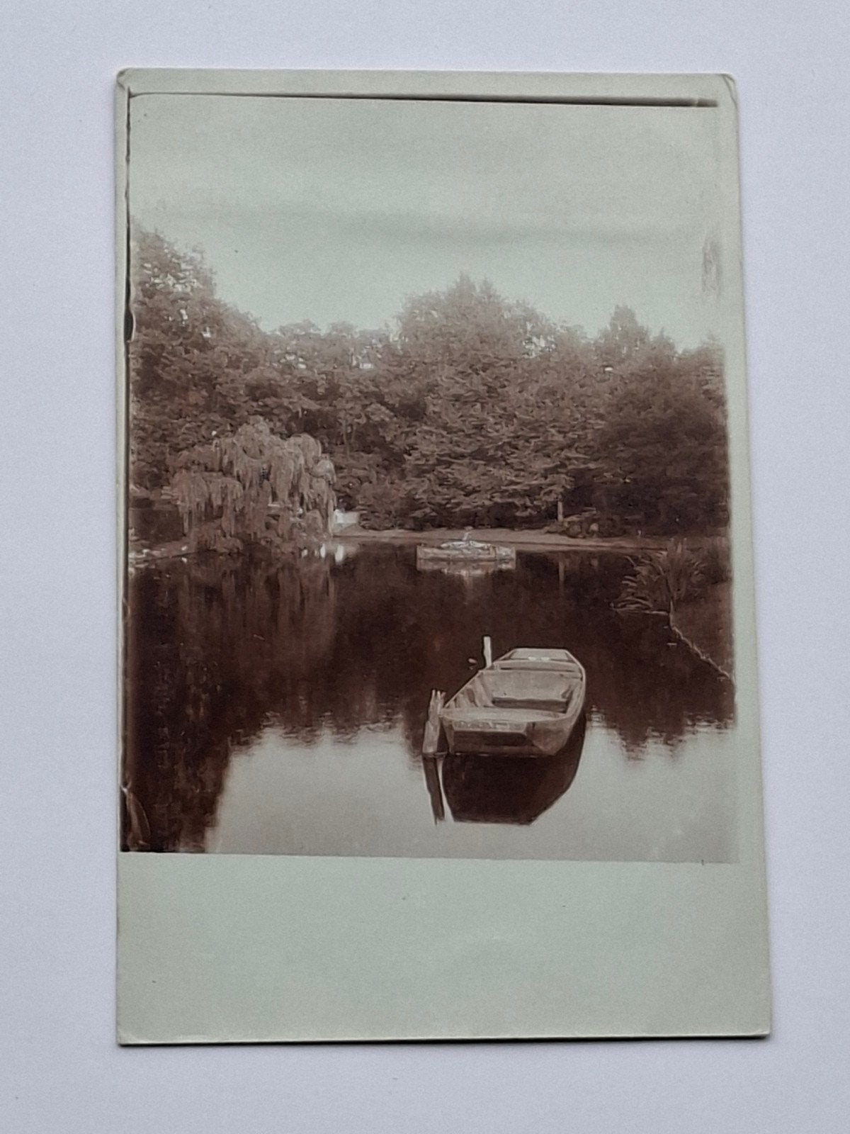 Fotokaart- Rotterdam- Zuid-Holland- park- vijfer- boot, Ophalen of Verzenden, Voor 1940, Overige onderwerpen, Foto
