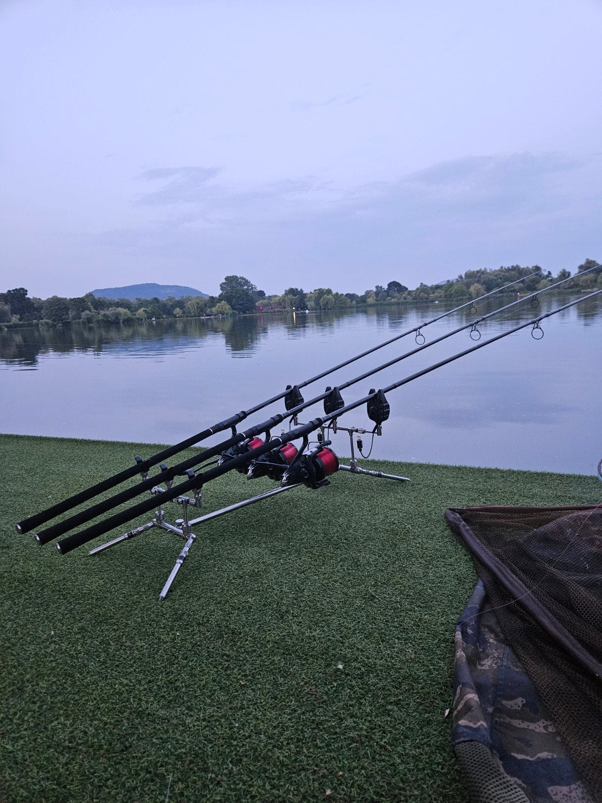 Gardner Covert 3.5lb 13ft Karperhengels, Ophalen of Verzenden, Zo goed als nieuw