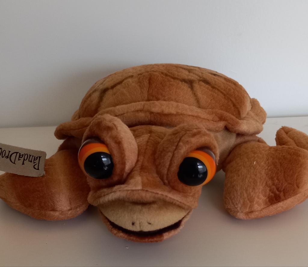 Zeer mooie schildpad, Ophalen of Verzenden, Zo goed als nieuw, Overige typen