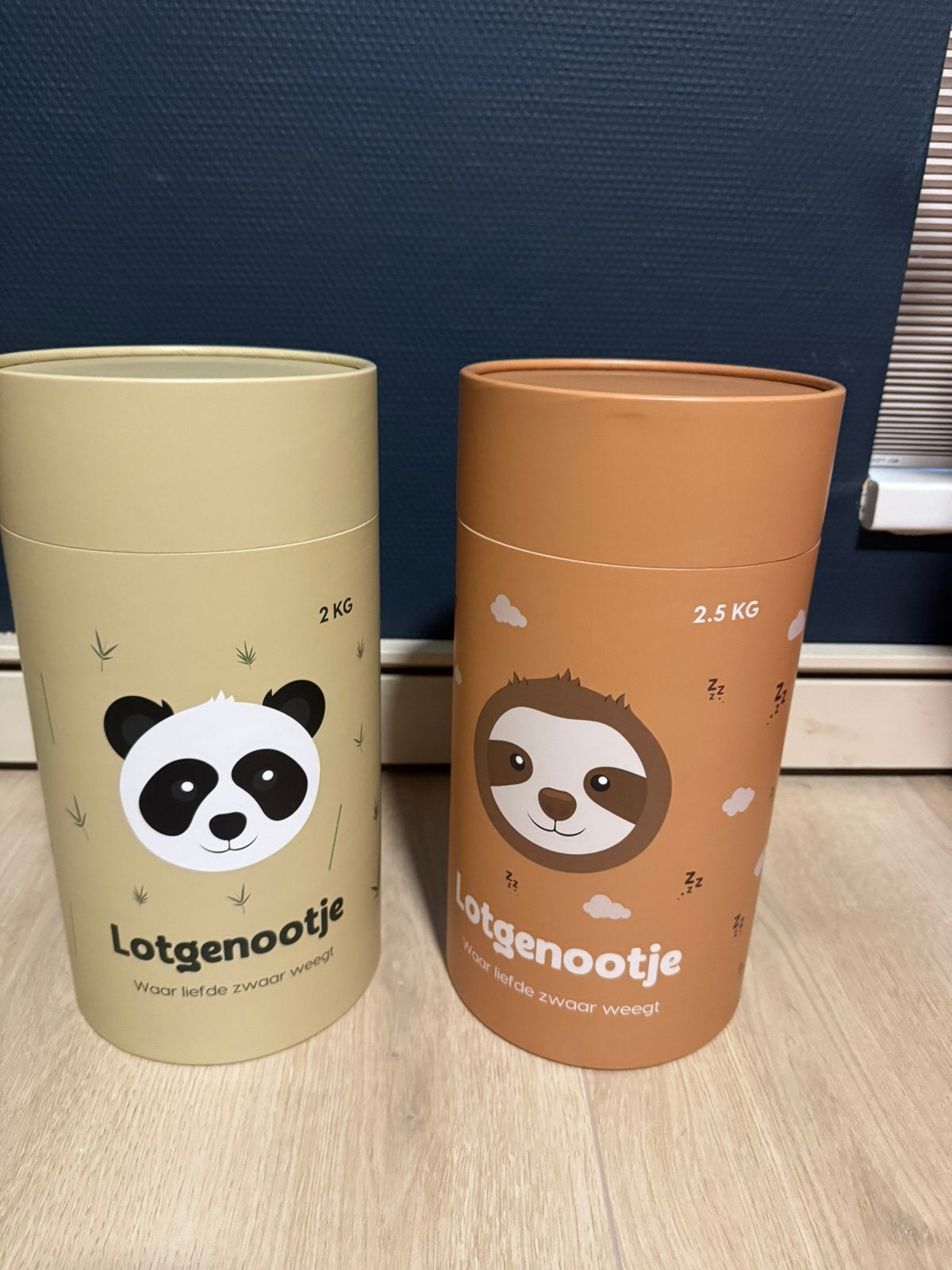 Twee opbergdozen Lotgenootje, Ophalen, Zo goed als nieuw, Overige typen