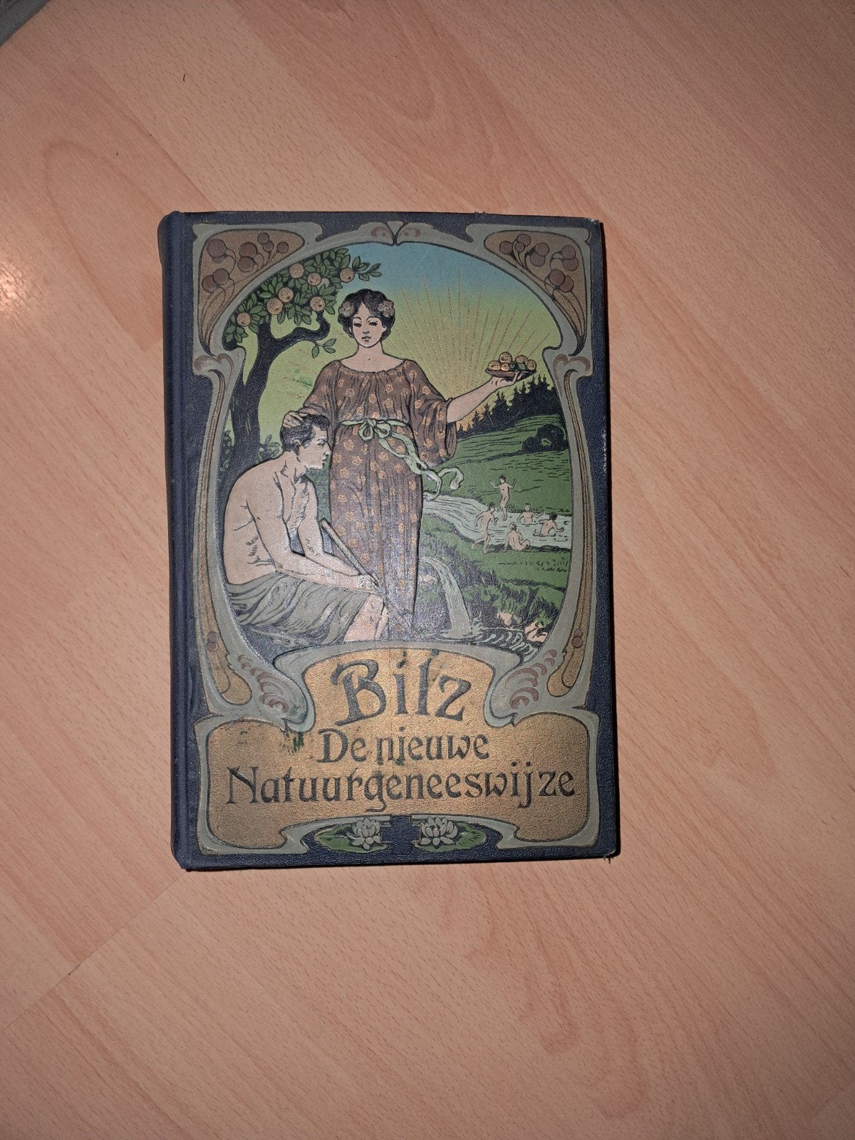 De Nieuwe Natuurgeneeswijze - F.E. Bilz (Oud Boek), Boeken, Ophalen of Verzenden