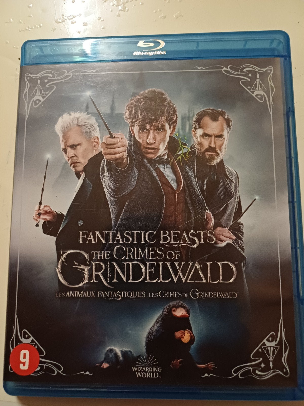 Fantastic Beasts, Cd's en Dvd's, Blu-ray, Ophalen of Verzenden, Zo goed als nieuw, Avontuur
