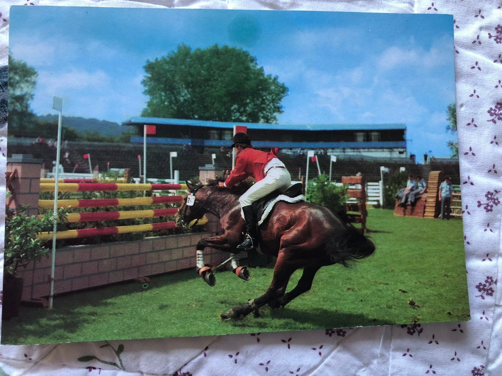 Springruiter met paard, Ophalen of Verzenden, Paard