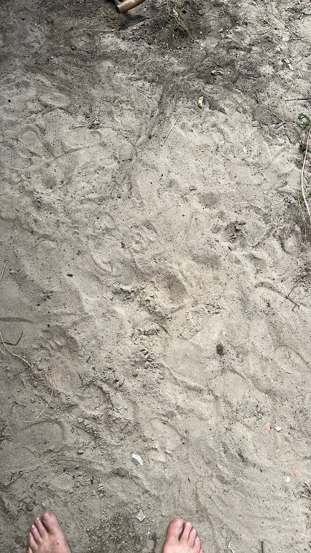 ophoogzand, Tuin en Terras, Zand, Zo goed als nieuw, Ophoogzand, Ophalen