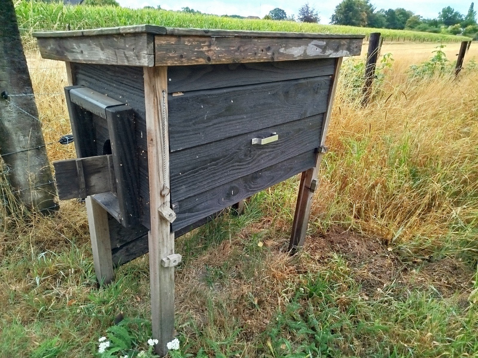 Kippenhok, Ophalen, Kippenhok of Kippenren