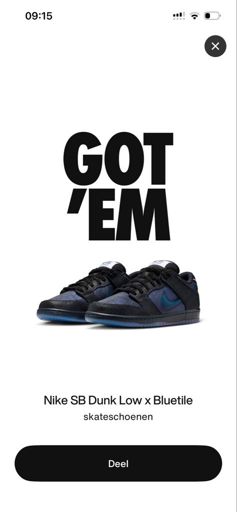 Nike SB Dunk Low x Bluetile Pitch Blue and Black maat 44, Kleding | Heren, Schoenen, Ophalen of Verzenden, Zo goed als nieuw, Blauw
