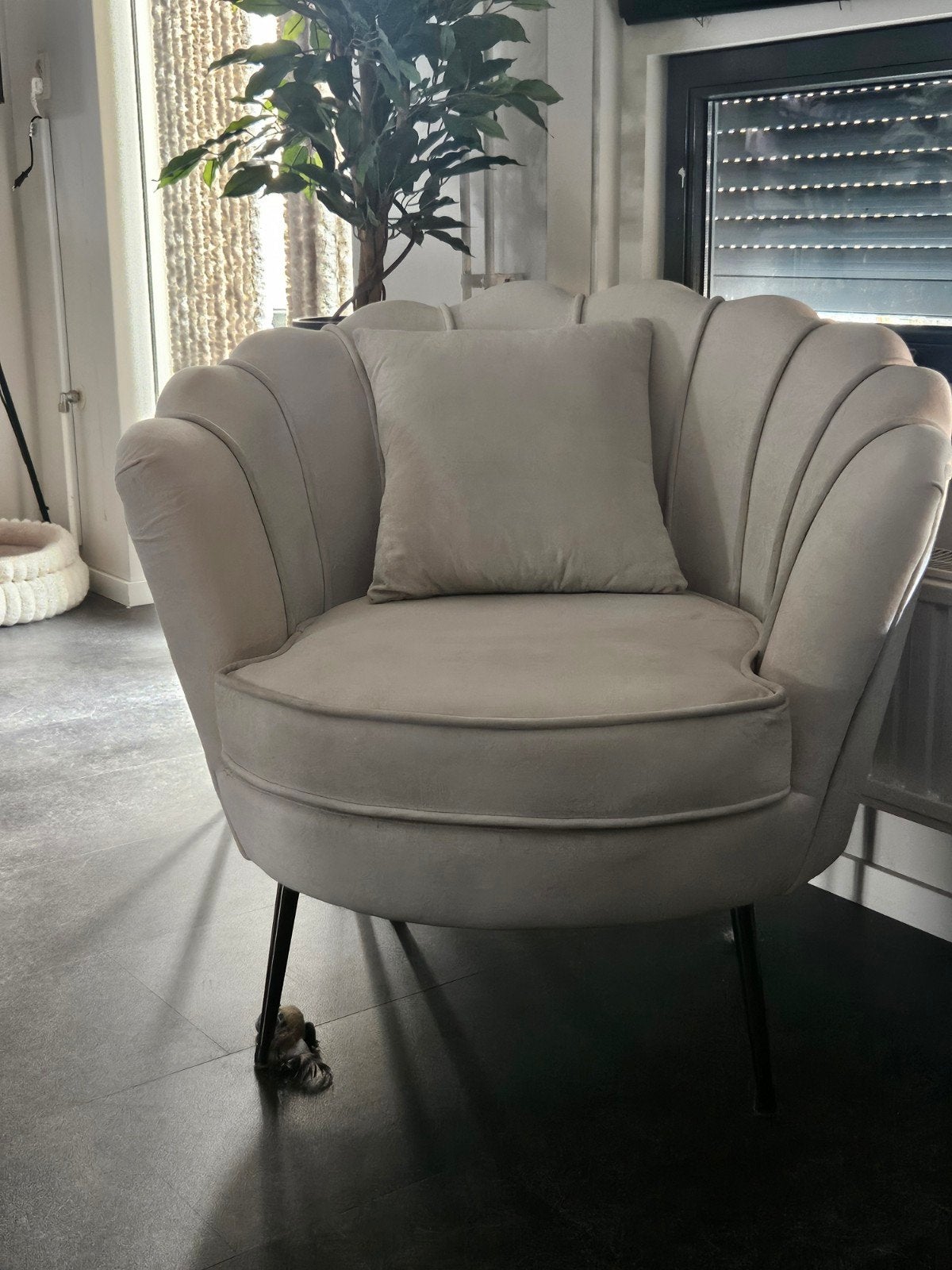 Fauteuil Anna crème velvet - Modern en comfortabel, Ophalen, Modern, Luxe, Elegant, Nieuw, 75 tot 100 cm