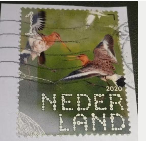 Beleef de Natuur - NVPH 3826 - 2020 - Grutto, Postzegels en Munten, Verzenden, Na 1940, Gestempeld
